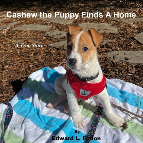 Cashew the Puppy Finds a Home A True Story