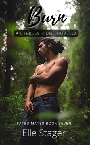 Burn A Fated Mates Novella (MM)