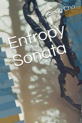 Entropy Sonata