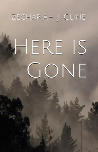 Here is Gone