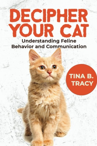 Decipher Your Cat Understanding Feline Behavior and Communication