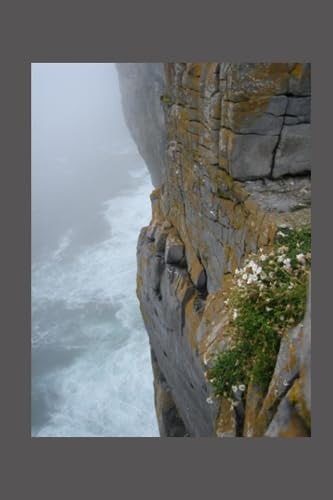 Rockface Weathering the Storms