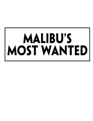 Malibu's Most Wanted Scripts