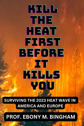 Kill the Heat First Before It Kills You Surviving the 2023 Heat Wave in America and Europe