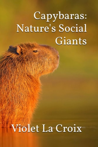 Capybaras Nature's Social Giants