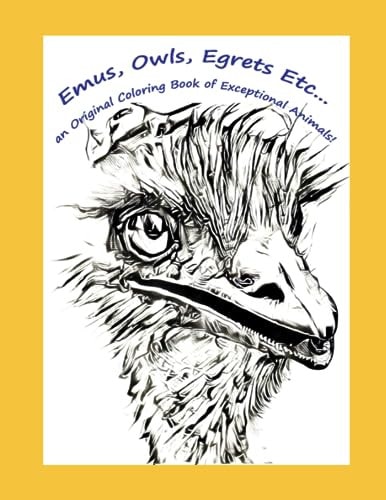 Emus, Owls, Egrets Etc... an Original Coloring Book of Exceptional Animals!