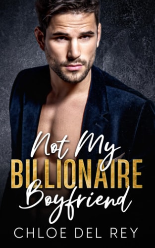 Not My Billionaire Boyfriend An Enemies to Lovers Romance