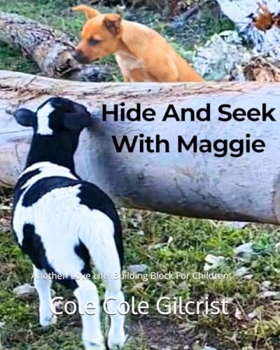 Hide And Seek With Maggie Another 'Love Life' Building Block For Children