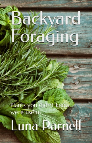 Backyard Foraging Plants You Didn't Know Were Useful