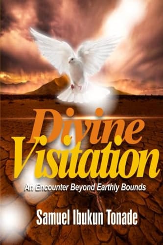 Divine Visitation An Encounter Beyond Earthly Bounds