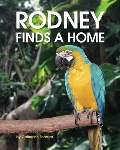 Rodney Finds a Home