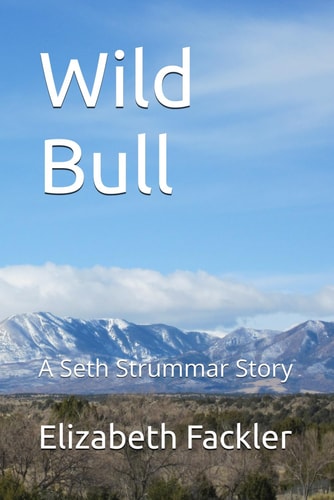 Wild Bull A Seth Strummar Story
