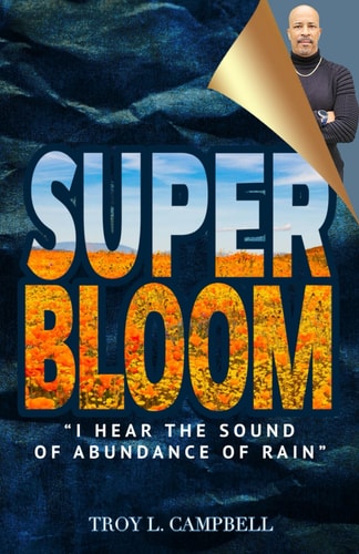 Superbloom "I Hear The Sound of Abundance of Rain"