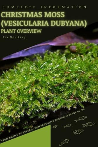 Christmas Moss (Vesicularia Dubyana) From Novice to Expert. Comprehensive Aquarium Plants Guide