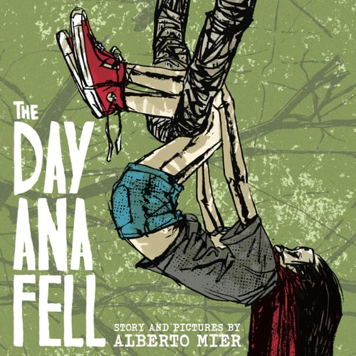 The Day Ana Fell Paperback - Picture Book