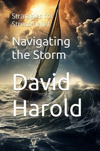 Navigating the Storm Strategies for Stress Relief