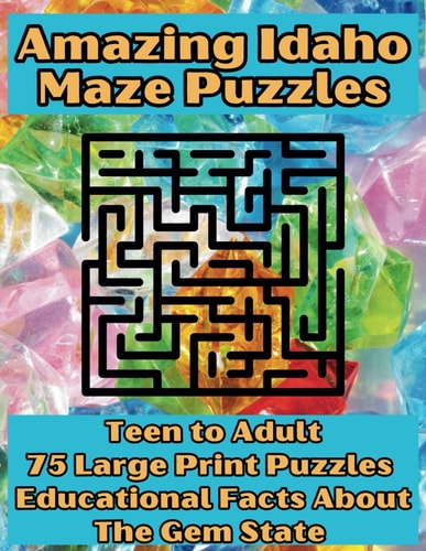 Amazing Idaho Maze Puzzles Teen to Adult