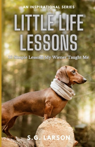 Little Life Lessons 10 Simple Lessons My Wiener Taught Me