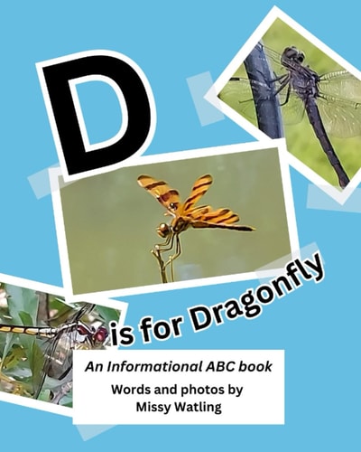D is for Dragonfly An Informational ABC Book