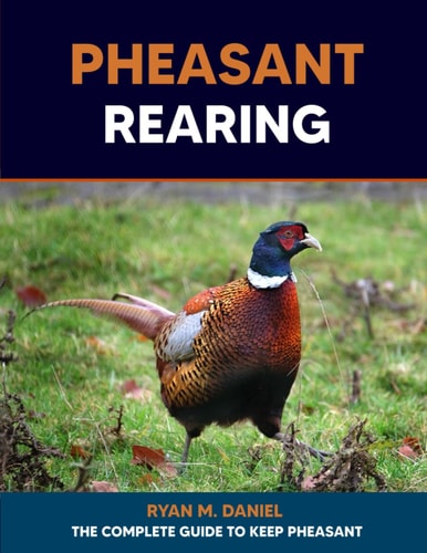 Pheasant Rearing The Complete Guide to Keep Pheasant