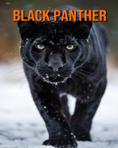 Black Panther Amazing Photos and Fun Facts Book for Kids
