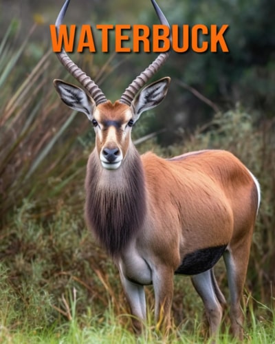 Waterbuck Amazing Photos and Fun Facts Book for Kids