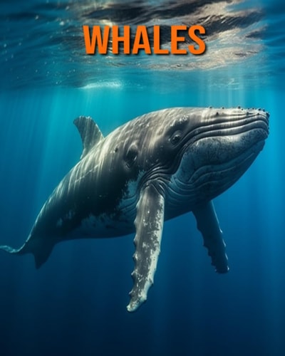 Whales Amazing Photos and Fun Facts Book for Kids