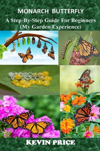 Monarch Butterfly A Step-by-Step Guide for Beginners (My Garden Experience)