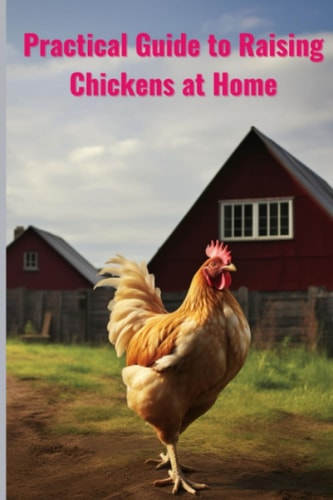 Pratical Guide to Raising Chickens at Home The Beginner's Guide to Raising Chickens