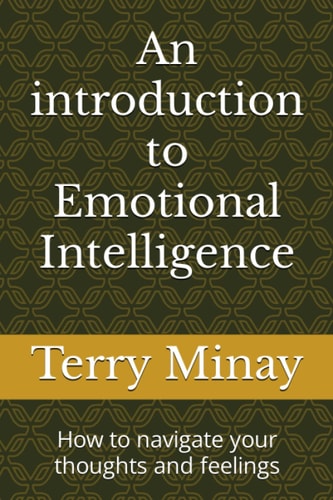 An Introduction to Emotional Intelligence How to Navigate Your Thoughts and Feelings