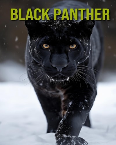 Black Panther Fun and Educational Book for Kids with Amazing Facts and Pictures