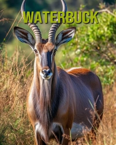 Waterbuck Fun and Educational Book for Kids with Amazing Facts and Pictures