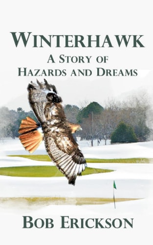 Winterhawk A Story of Hazards and Dreams