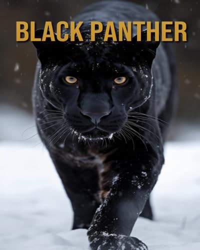 Black Panther Amazing Photos and Fun Facts Book
