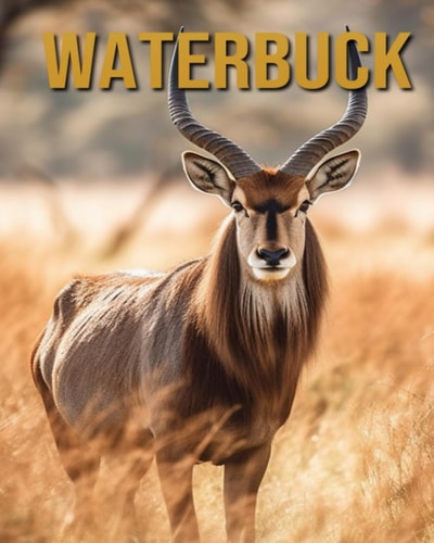 Waterbuck Amazing Photos and Fun Facts Book