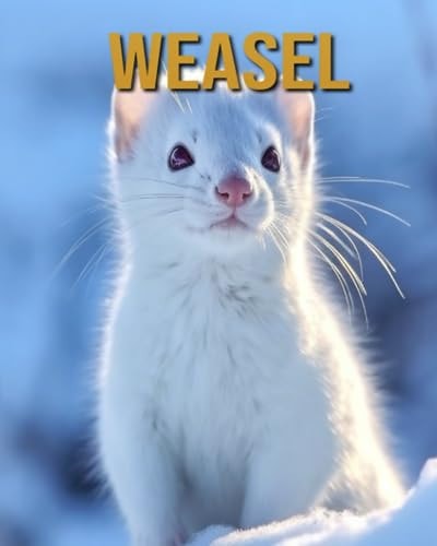 Weasel Amazing Photos and Fun Facts Book