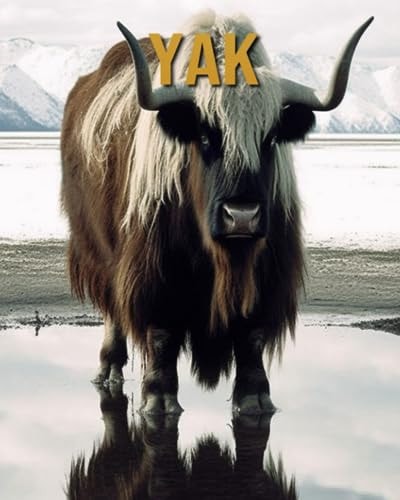 Yak Amazing Photos and Fun Facts Book