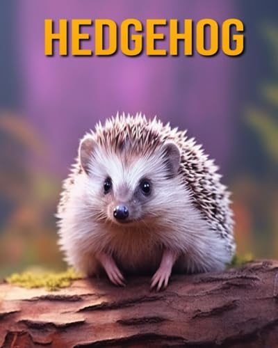 Hedgehog Fun Facts Book for Kids