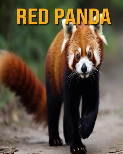 Red Panda Fun Facts Book for Kids
