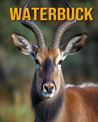 Waterbuck Fun Facts Book for Kids