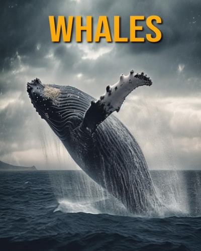 Whales Fun Facts Book for Kids