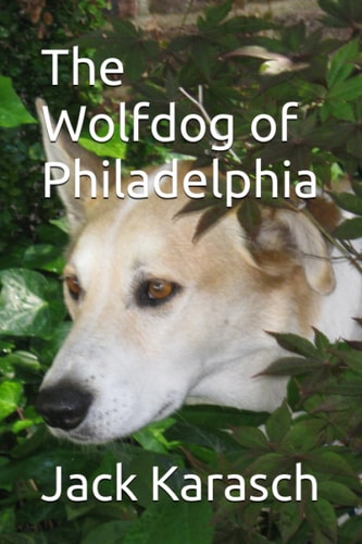 The Wolfdog of Philadelphia