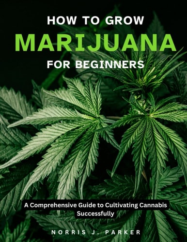 How To Grow Marijuana For Beginners A Comprehensive Guide To Cultivating Cannabis Successfully