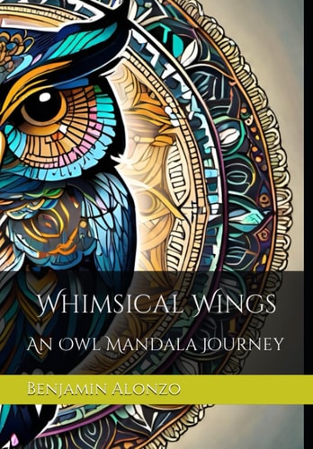 Whimsical Wings An Owl Mandala Journey