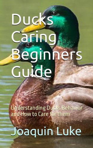 Ducks Caring Beginners Guide Understanding Ducks Behavior and How to Care for Them