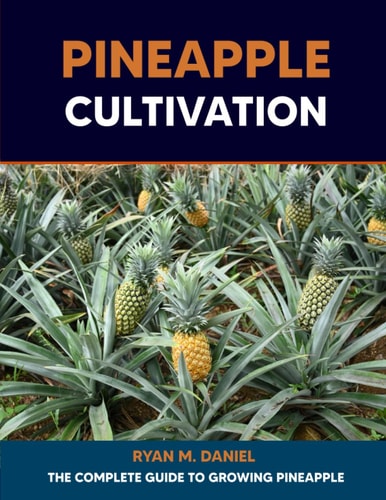 Pineapple Cultivation The Complete Guide to Growing Pineapple