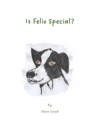 Is Felix Special?