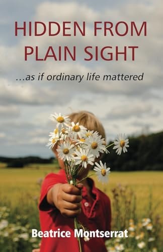 HIDDEN FROM PLAIN SIGHT ... as If Ordinary Life Mattered