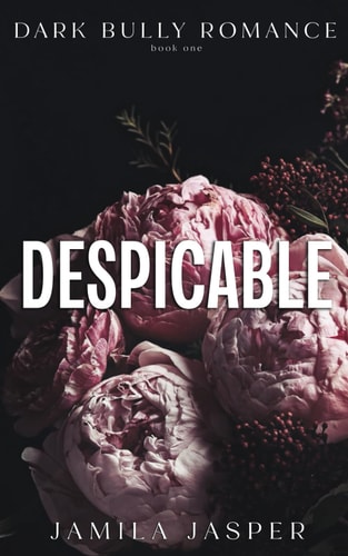 Despicable Dark Bully Romance