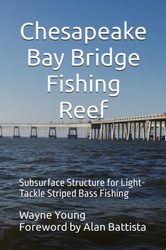 Chesapeake Bay Bridge Fishing Reef Subsurface Structure for Light-Tackle Striped Bass Fishing